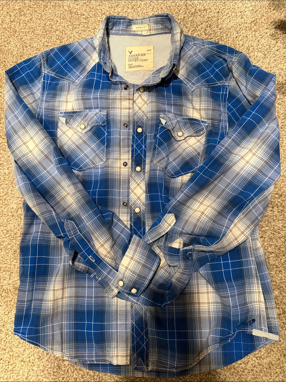 American Eagle Outfitters Blue and White Plaid Button-Down Shirt